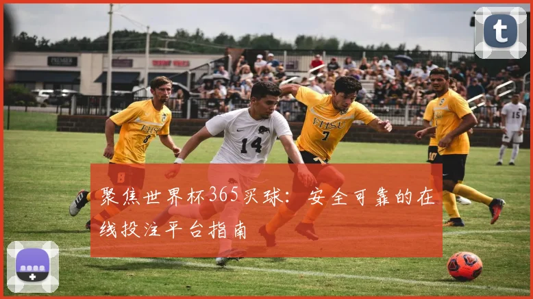 聚焦世界杯365买球：安全可靠的在线投注平台指南