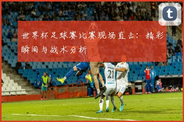 世界杯足球赛比赛现场直击:精彩瞬间与战术分析