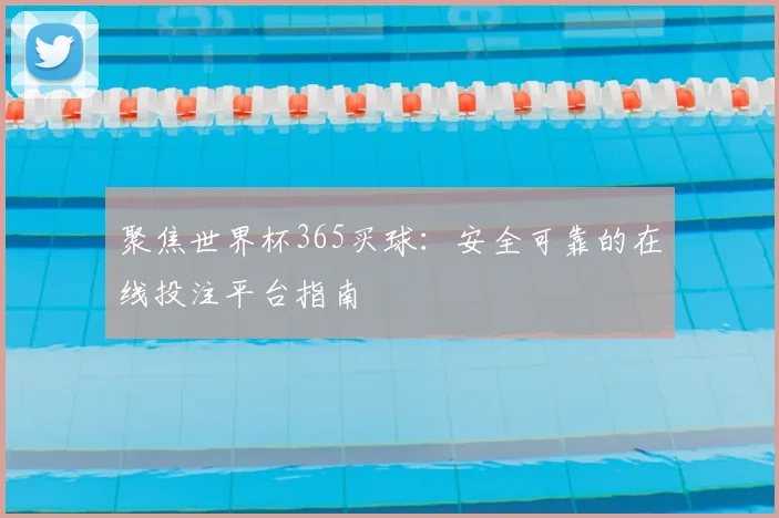 聚焦世界杯365买球：安全可靠的在线投注平台指南
