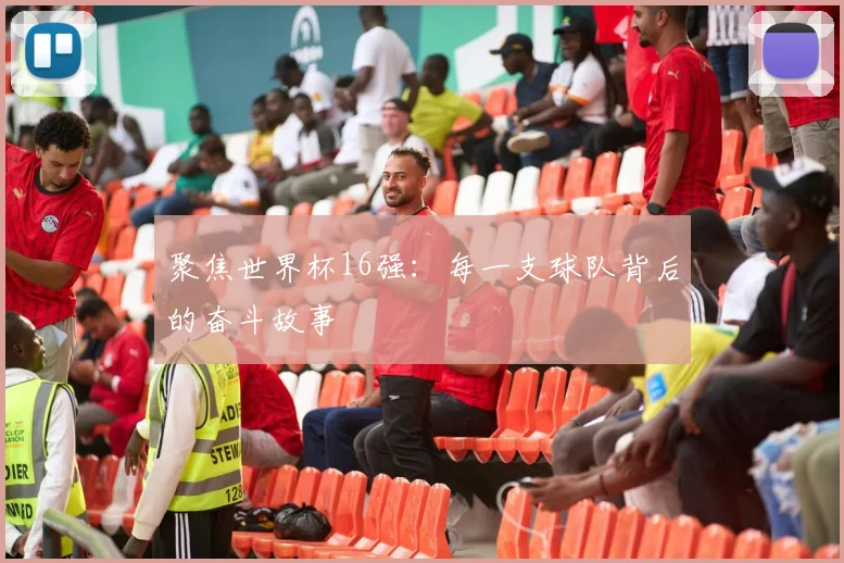聚焦世界杯16强：每一支球队背后的奋斗故事