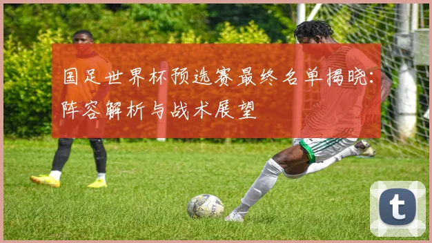 国足世界杯预选赛最终名单揭晓:阵容解析与战术展望