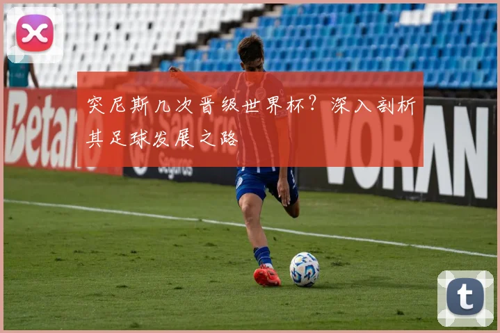突尼斯几次晋级世界杯？深入剖析其足球发展之路