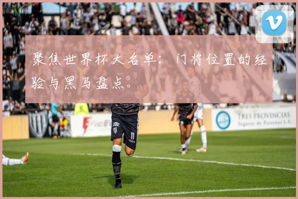 聚焦世界杯大名单：门将位置的经验与黑马盘点。