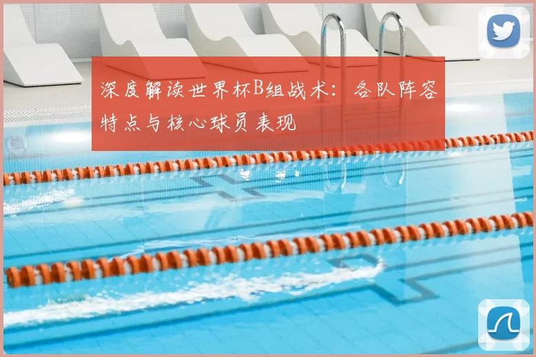 深度解读世界杯B组战术：各队阵容特点与核心球员表现
