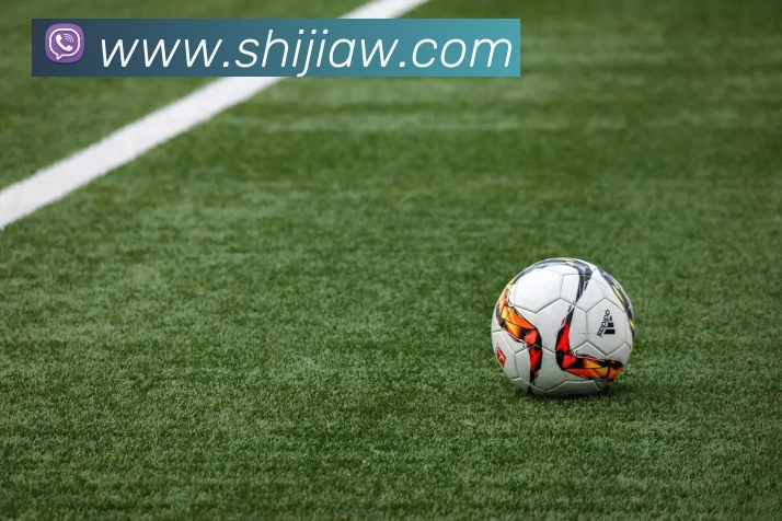 up体育官网平台生态图